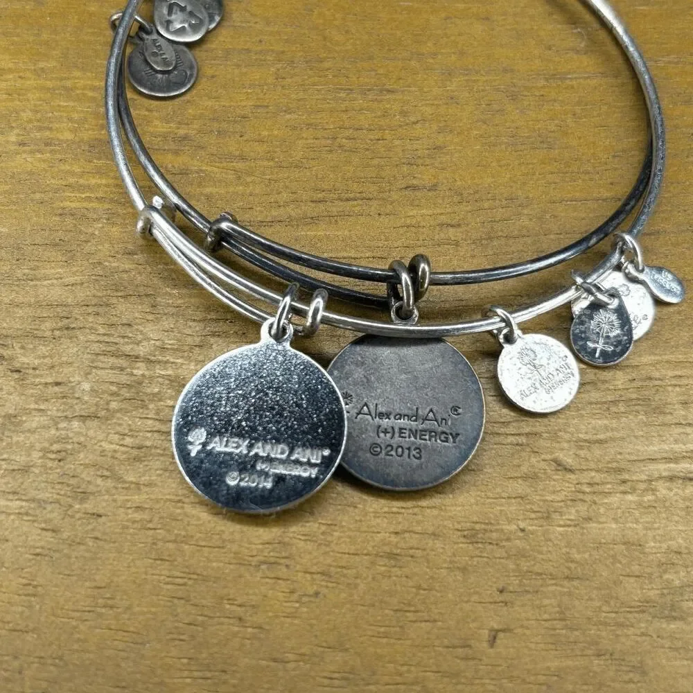 Alex and Ani alex ani